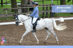 Arabissimo 2025 - Arabissimo 2025 8x5 ruitetcoaching paardencoaching (2)