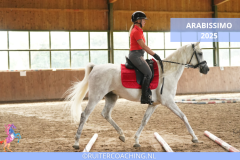 Arabissimo 2025 - Arabissimo 2025 8x5 ruitercoaching paardencoaching (4)