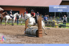 Arabissimo 2025 - Arabissimo 2025 8x5 ruitercoaching paardencoaching (5)