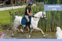 Arabissimo 2025 - Arabissimo 2025 8x5 ruitercoaching paardencoaching