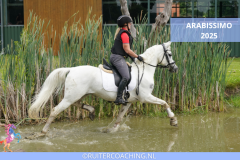 Arabissimo 2025 - Arabissimo 2025 8x5 ruitercoaching paardencoaching (2)