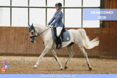 Arabissimo 2025 - Arabissimo 2025 8x5 ruitercoaching paardencoaching (4)