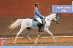 Arabissimo 2025 - Arabissimo 2025 8x5 ruitercoaching paardencoaching (2)