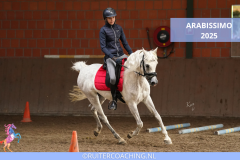 Arabissimo 2025 - Arabissimo 2025 8x5 ruitercoaching paardencoaching (3)