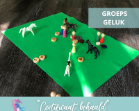 Paardencoaching-Nederland-Gelderland-2x2-berichten - 9
