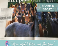 Paardencoaching-Nederland-Gelderland-2x2-berichten - 12