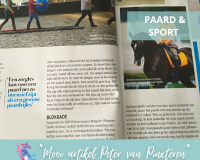 Paardencoaching-Nederland-Gelderland-2x2-berichten - 13