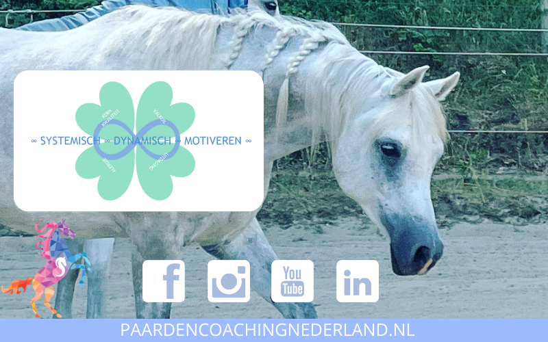 Standaard Paardencoaching Nederland 8x5 - 1