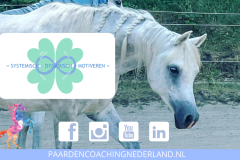 Standaard Paardencoaching Nederland 8x5 - 1