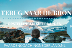 Familieopstellingen-met-paarden-coaching-Nederland12x5