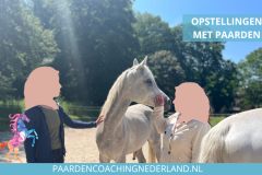 Paardencoaching Nederland 8x5 - 3