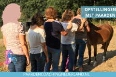 Paardencoaching Nederland 8x5 - 1