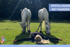 Paardencoaching Nederland Opstellingen 8x5 - Paard-en-coaching-nederland-gelderland-nijmegen-familie-opstellingen-2