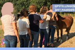 Paardencoaching Nederland Opstellingen 8x5 - Paard-en-coaching-nederland-gelderland-nijmegen-familie-opstellingen-4