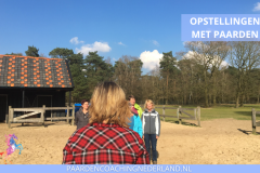 Paardencoaching Nederland Opstellingen 8x5 - Paard-en-coaching-nederland-gelderland-nijmegen-familie-opstellingen-6