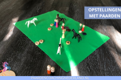 Paardencoaching Nederland Opstellingen 8x5 - Paard-en-coaching-nederland-gelderland-organisatie-opstellingen-2