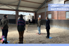 Paardencoaching Nederland Opstellingen 8x5 - Paard-en-coaching-nederland-gelderland-organisatie-opstellingen-3