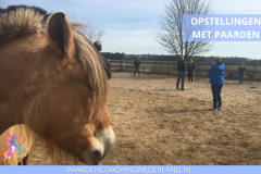 Paardencoaching Nederland Opstellingen 8x5 - Paard-en-coaching-nederland-gelderland-organisatie-opstellingen-4