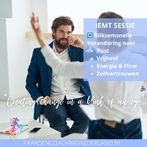 IEMT Paardencoaching nederland 5x5 - Paardencoach-nederland-gelderland-iemt-1