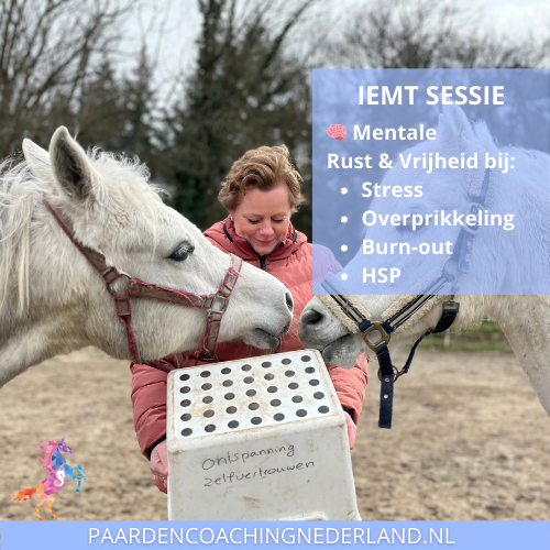IEMT Paardencoaching nederland 5x5 - Paardencoach-nederland-gelderland-iemt-2