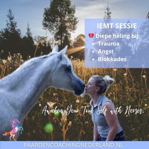 IEMT Paardencoaching nederland 5x5 - Paardencoach-nederland-gelderland-iemt-3
