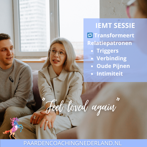 IEMT Paardencoaching nederland 5x5 - Paardencoach-nederland-gelderland-iemt-4