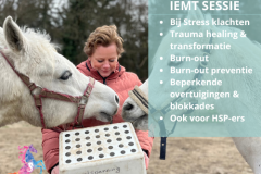 IEMT Paardencoaching nederland 5x5 - 1