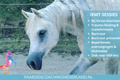 IEMT Sessie Paardencoaching Nederland 8x5 - 1