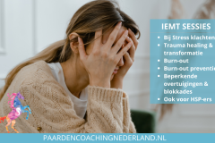 IEMT Sessie Paardencoaching Nederland 8x5 - 3