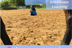 24 Paardencoaching Nederland 5x5 - Individuele Paardencoaching 1