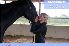 24 Paardencoaching Nederland 5x5 - Individuele Paardencoaching 2