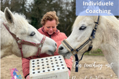 24 Paardencoaching Nederland 5x5 - Individuele Paardencoaching 3