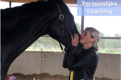 24 Paardencoaching Nederland 5x5 - Persoonlijke-Paardencoaching-Nederland-Gelderland-1