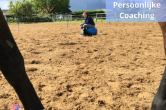 24 Paardencoaching Nederland 5x5 - Persoonlijke-Paardencoaching-Nederland-Gelderland-2