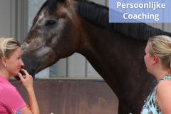 24 Paardencoaching Nederland 5x5 - Persoonlijke-Paardencoaching-Nederland-Gelderland-4