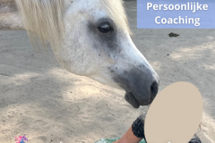 24 Paardencoaching Nederland 5x5 - Persoonlijke-Paardencoaching-Nederland-Gelderland-5