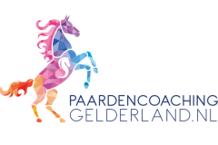 29.Jeanet Bathoorn Paardencoaching Nijmegen
