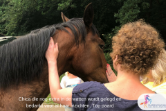 Paardencoaching40.Jeanet Bathoorn Paardencoaching Nederland Nijmegen