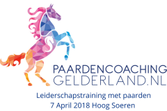 1.Leiderschapstraining paarden teamtripper JCI Ede Laag Soeren april 2018