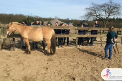 7.Leiderschapstraining paarden teamtripper JCI Ede Laag Soeren april 2018