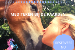 Paardencoaching nederland 5x5 - 7