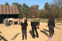 organisatie paard coachgelderland teambuilding 12