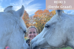 24 Paardencoaching Nederland 5x5 - Paarden-coaching-Gelderland-Reiki-Inwijding-Cursus-3