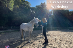 24 Paardencoaching Nederland 5x5 - Paardencoaching-Gelderland-Reiki-workshop-1