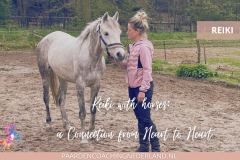 Paardencoaching Nederland Holistisch 8x5 - Paardencoaching-Nederland-Gelderland-Reiki-cursus-1