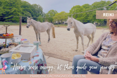 Paardencoaching Nederland Holistisch 8x5 - Paardencoaching-Nederland-Gelderland-Reiki-cursus-2