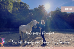 Paardencoaching Nederland Holistisch 8x5 - Paardencoaching-Nederland-Gelderland-Reiki-cursus-3