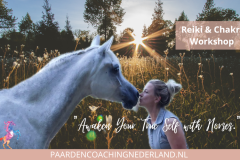 Paardencoaching Nederland Gelderland Reiki Cursus 8x5 - Paardencoaching-Nederland-Reiki-Chakras-paard-mens-1