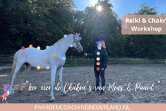 Paardencoaching Nederland Gelderland Reiki Cursus 8x5-2