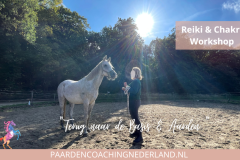 Paardencoaching Nederland Gelderland Reiki Cursus 8x5